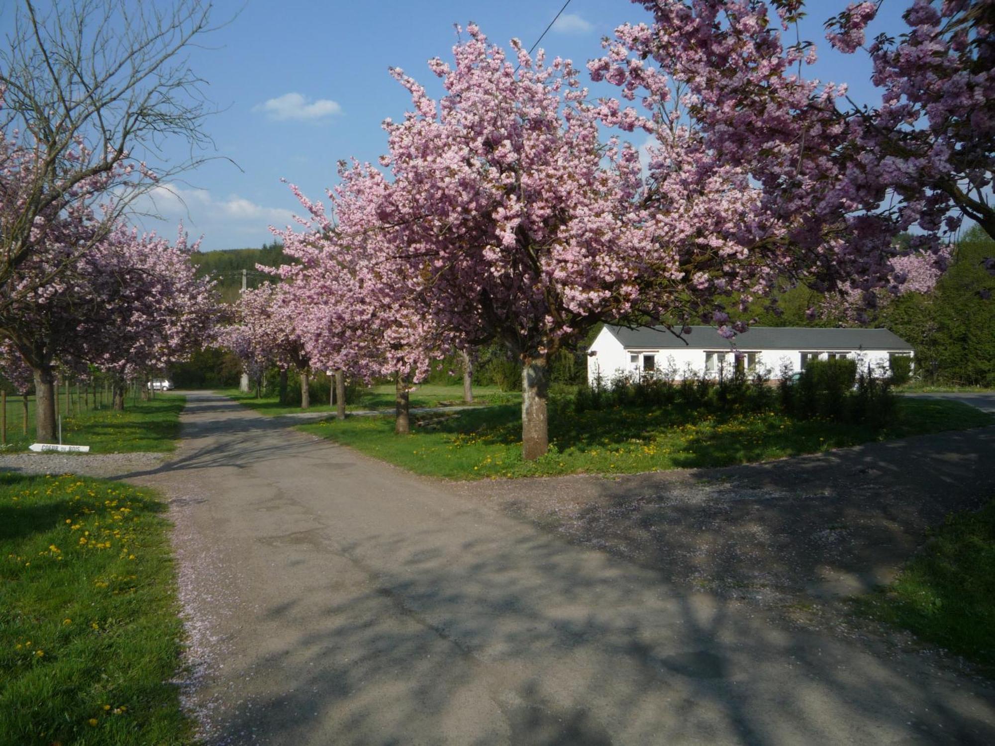 Le Brissoneau Rendeux Motel Exterior foto
